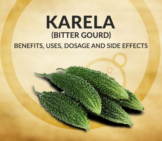 Karela (Bitter Gourd): 21 Top Benefits, Uses, Dosage, Side Effects & Price